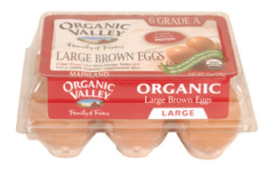 Hillandale Large Brown Eggs 1 Dozen