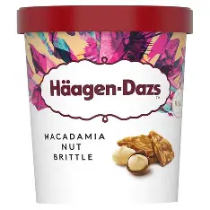 Haagen-Dazs Macadamia Nut Brittle Ice Cream Pint